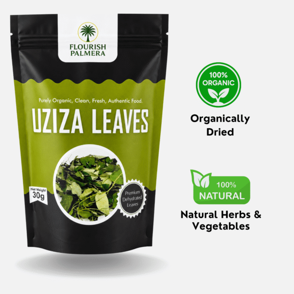 Flourish Palmera dried uziza leaves (Piper guineense), an aromatic West African herb used in traditional Nigerian soups.