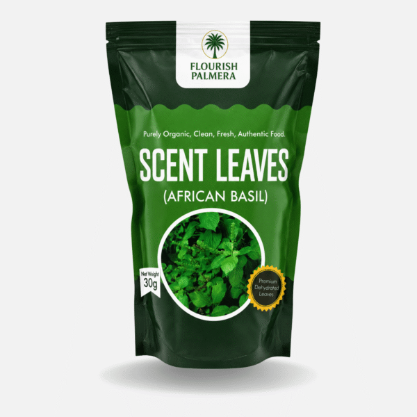 Dried Scent Leaves (Ocimum gratissimum)